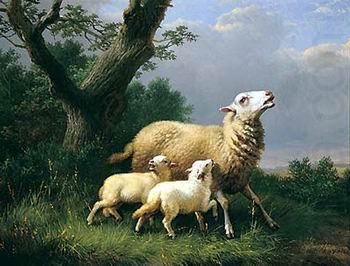 Sheep 074, unknow artist